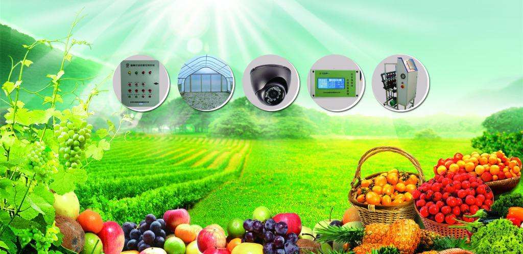 农业智能环境监控系统
